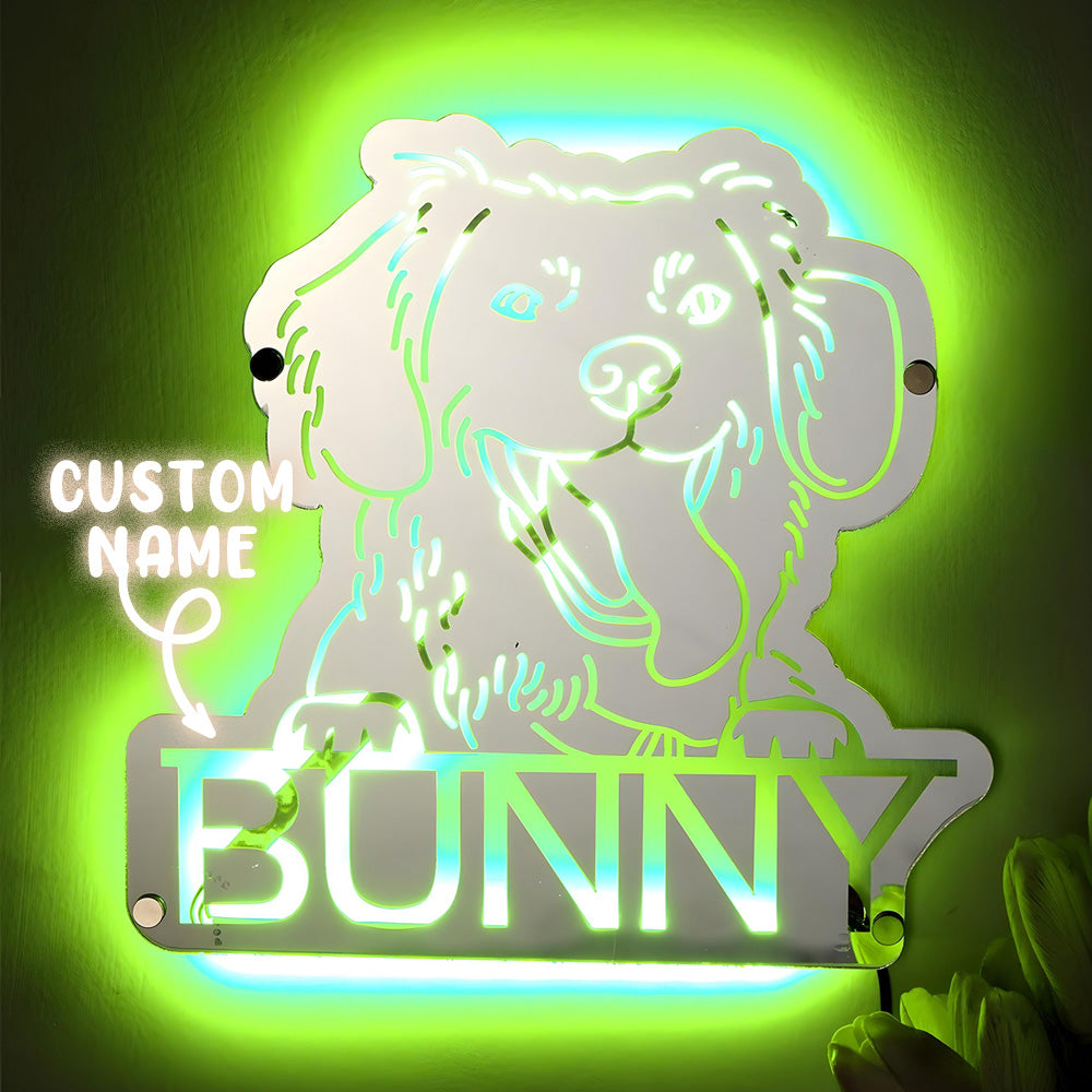 Pet Photo Mirror Light