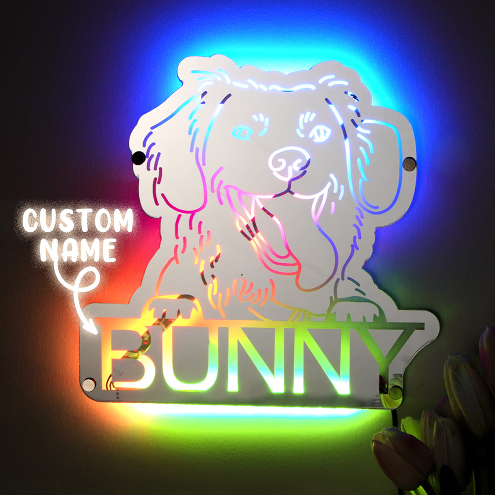 Pet Photo Mirror Light