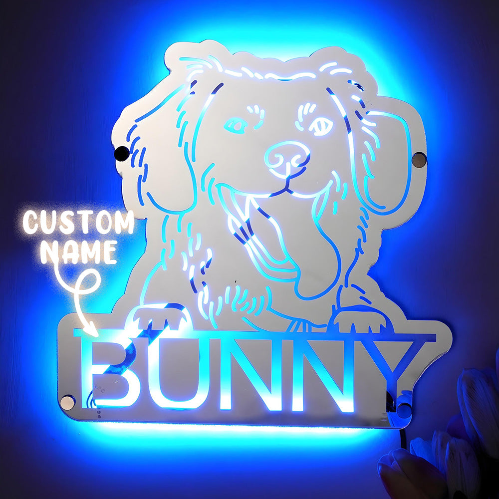 Pet Photo Mirror Light