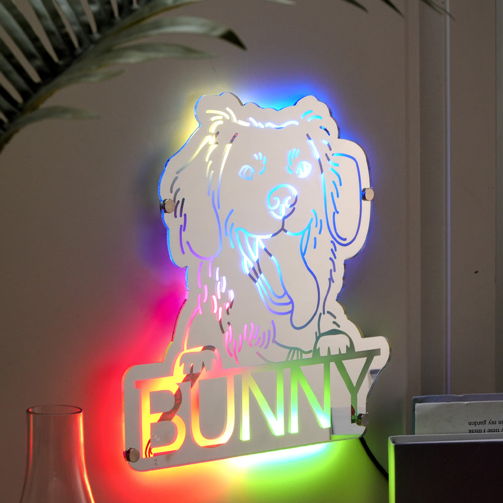 Pet Photo Mirror Light