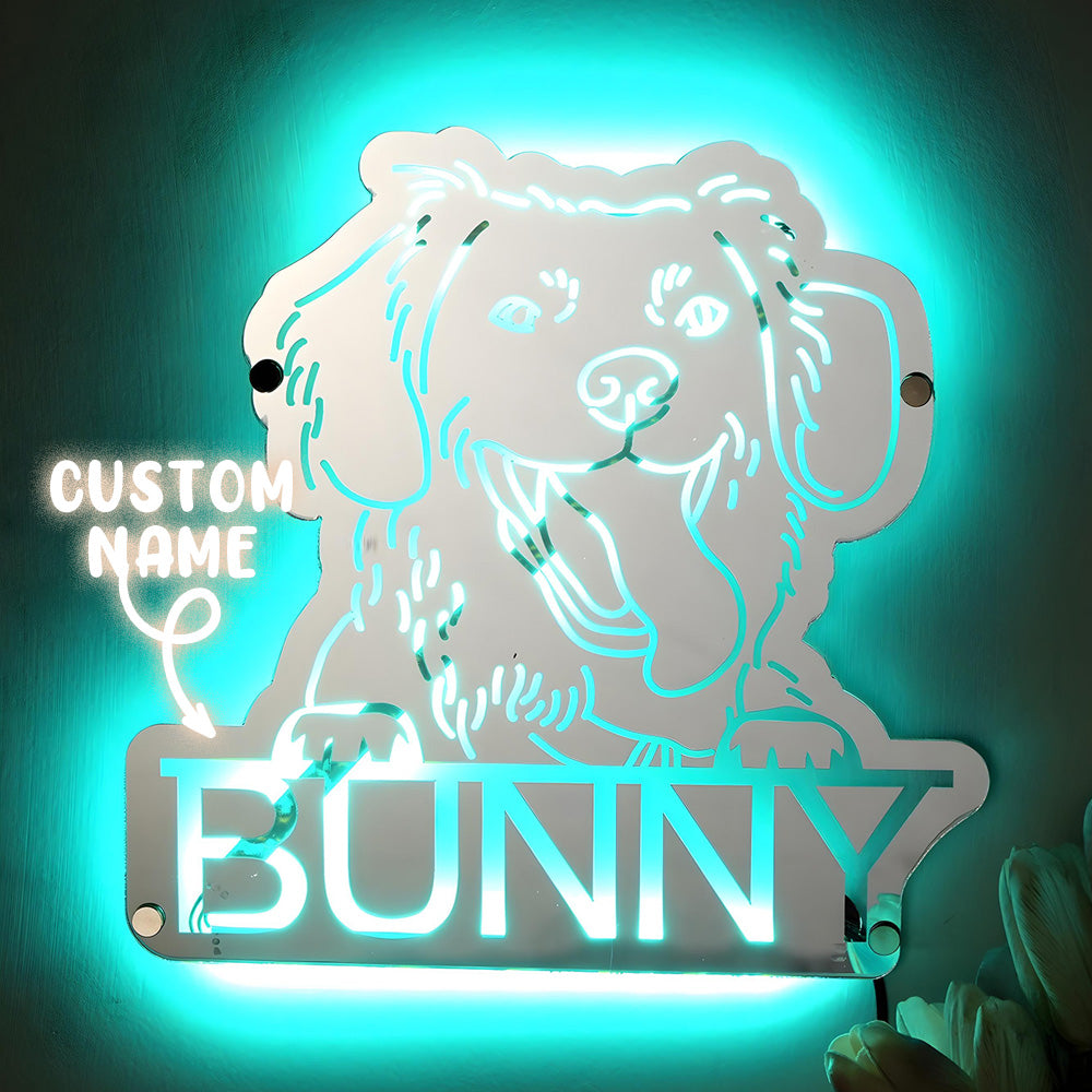 Pet Photo Mirror Light